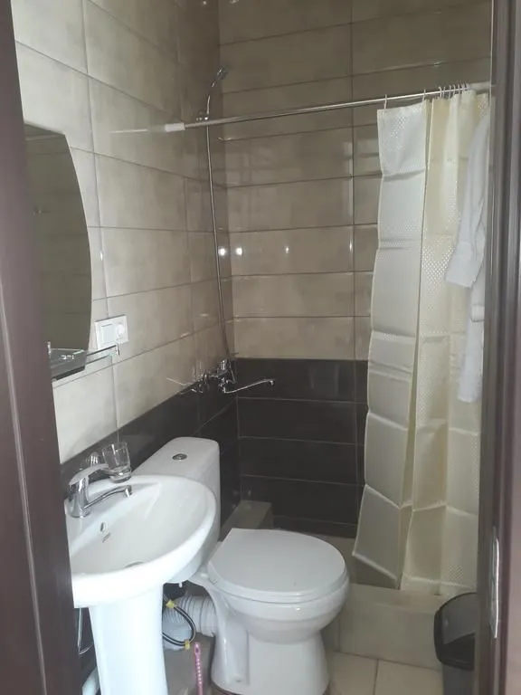 Villa Bakuriani — Photo 18