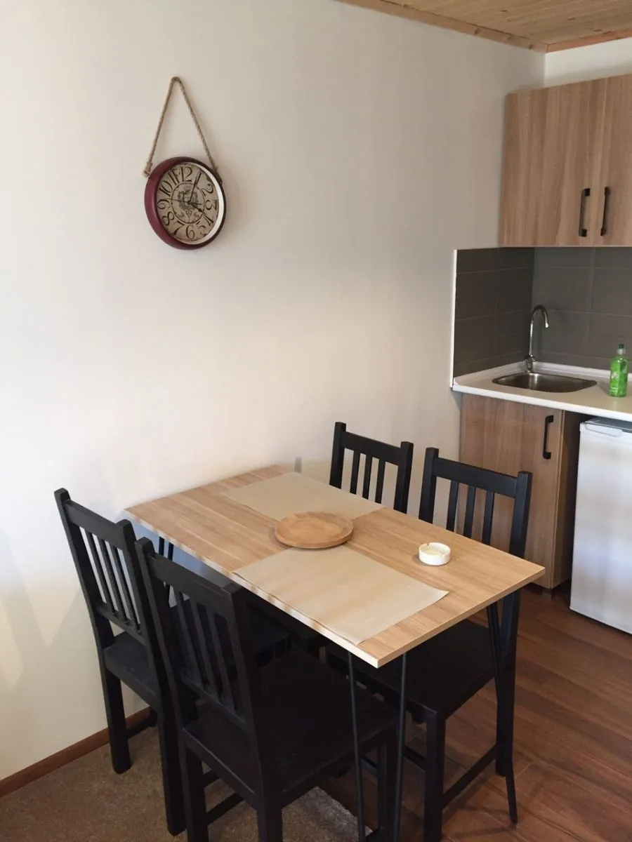 Apt N50 in 4 star hotel Mgzavrebi Panorama — Photo 16