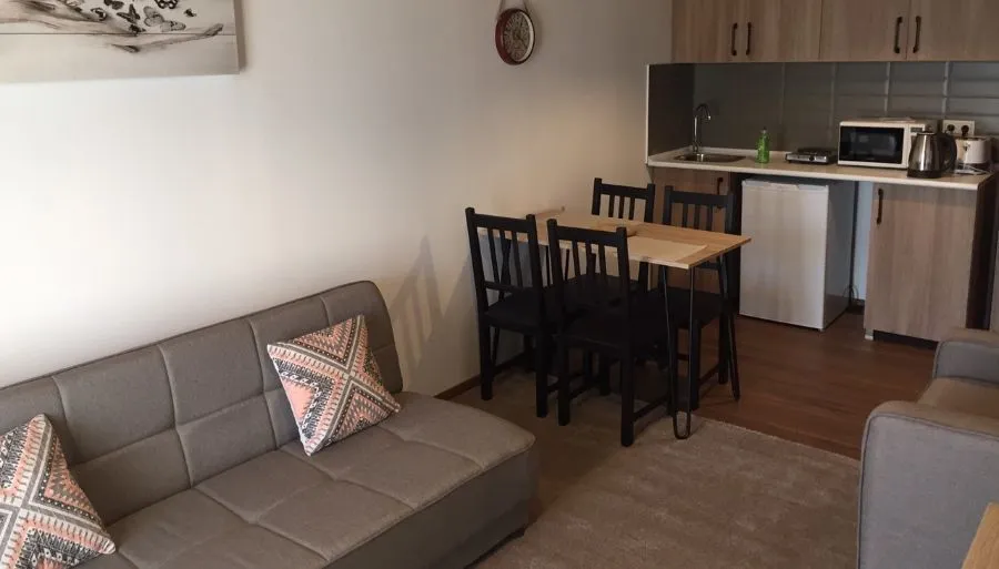 Apt N50 in 4 star hotel Mgzavrebi Panorama — Photo 15