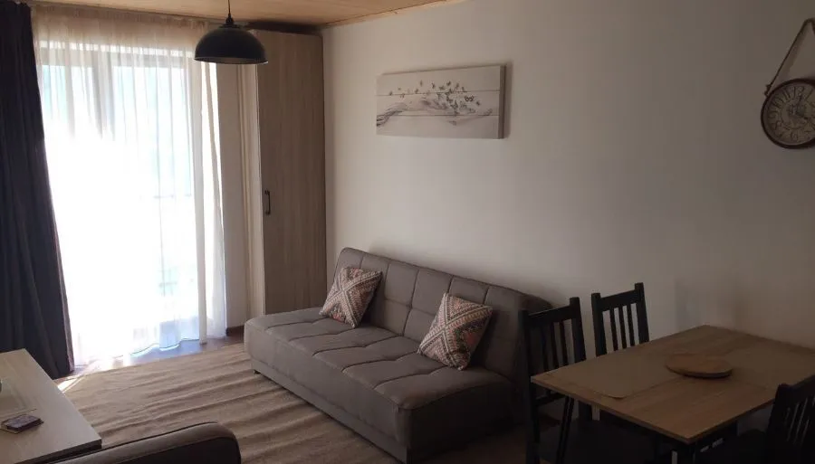 Apt N50 in 4 star hotel Mgzavrebi Panorama — Photo 12