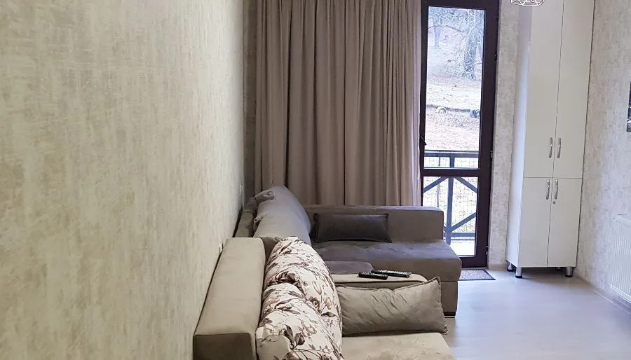 Bakuriani park residence apt 15 — Photo 28