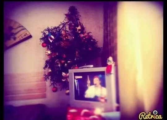Cottage in Bakuriani — Photo 10