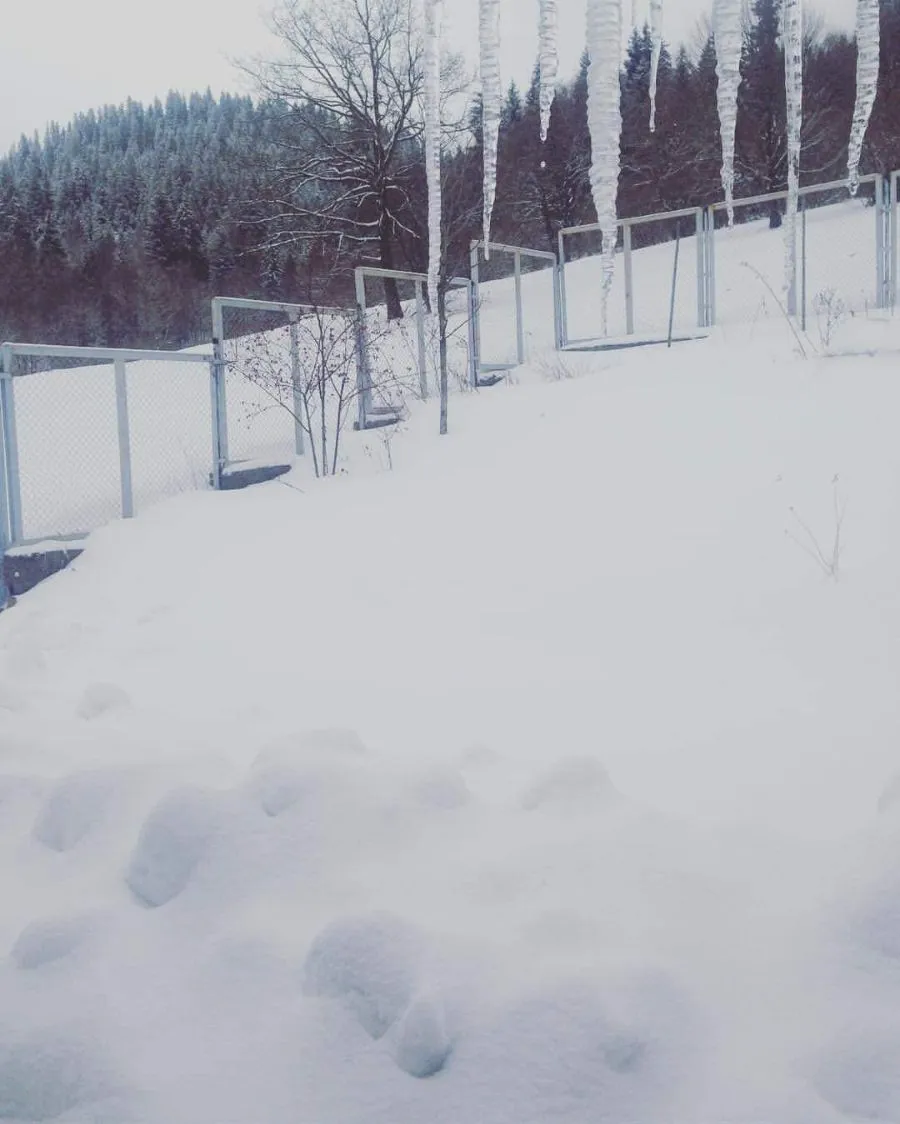 Cottage in Bakuriani — Photo 8