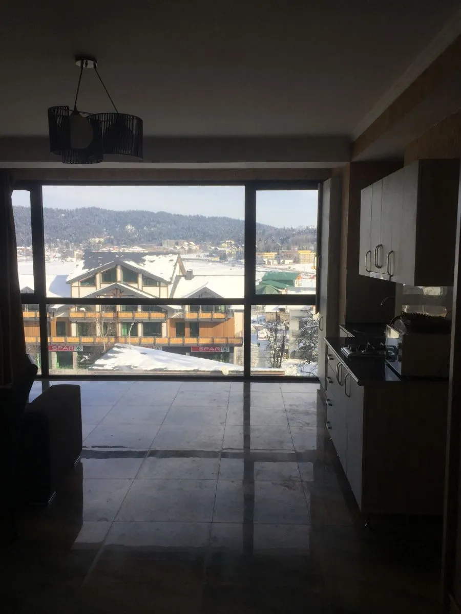 Hillside Bakuriani 501 — Photo 14