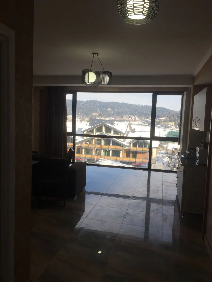 Hillside Bakuriani 501 — Photo 19