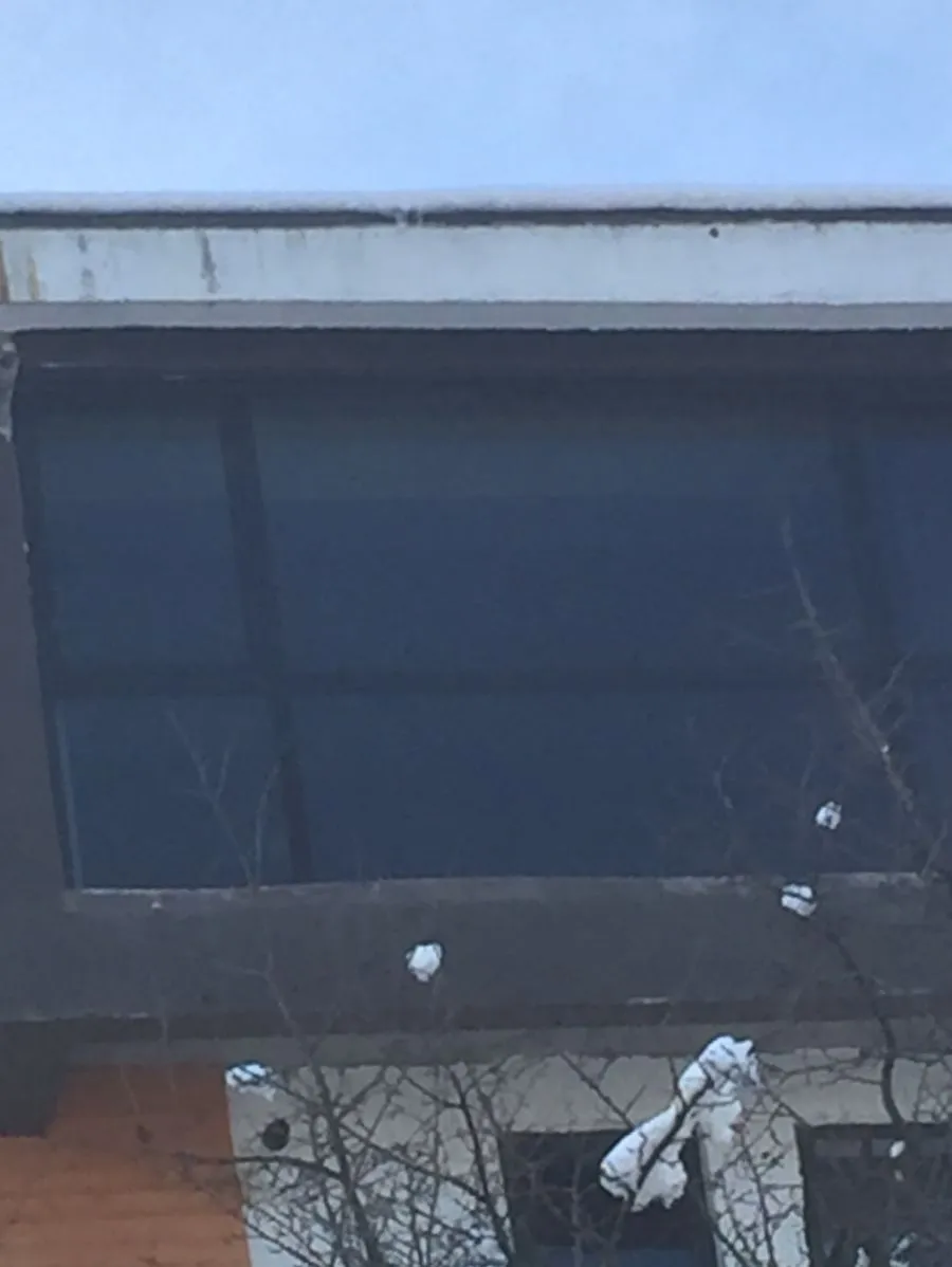 Hillside Bakuriani 501 — Photo 3