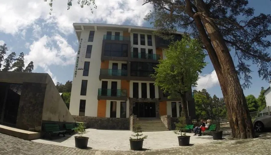 Hillside Bakuriani 501 — Photo 11