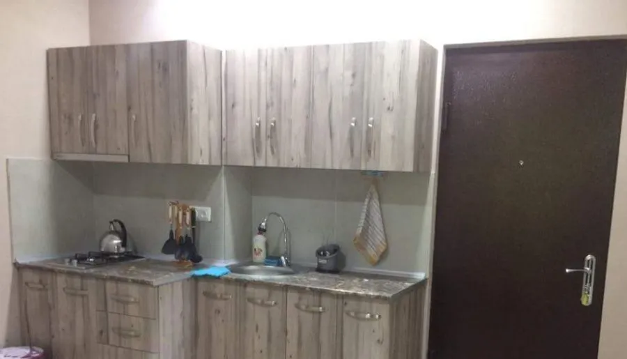 Bakuriani Residence apt 143 — Photo 10