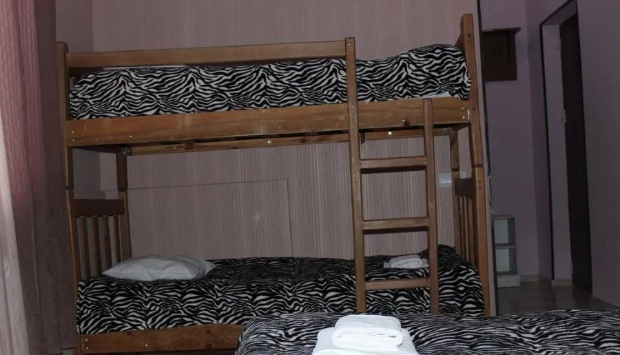 Old Bakuriani — Photo 21