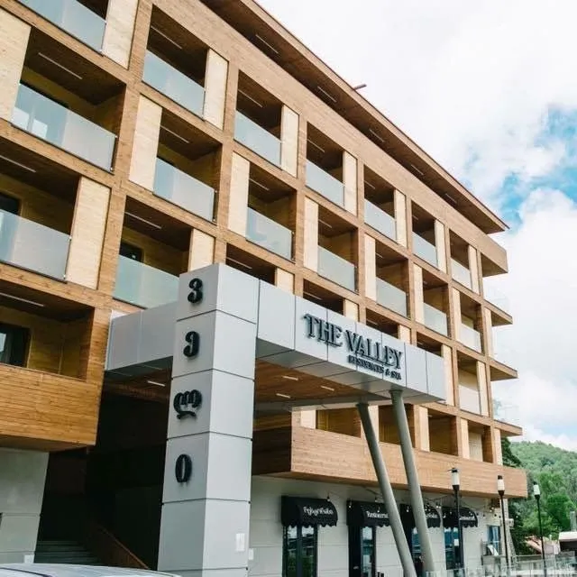 The Valley Residences & Spa Bakuriani 213 — Photo 1
