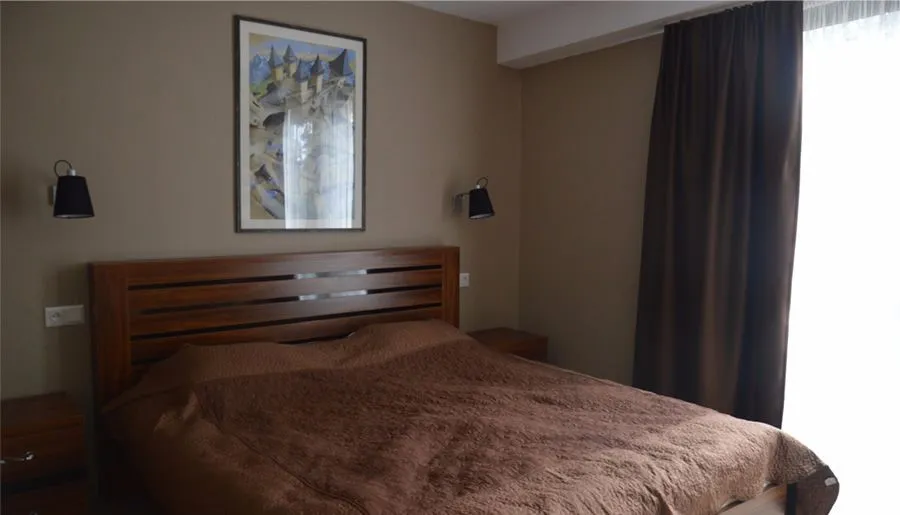 Hillside Bakuriani Apt 108 — Photo 18