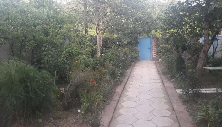 Green Yard — Photo 9