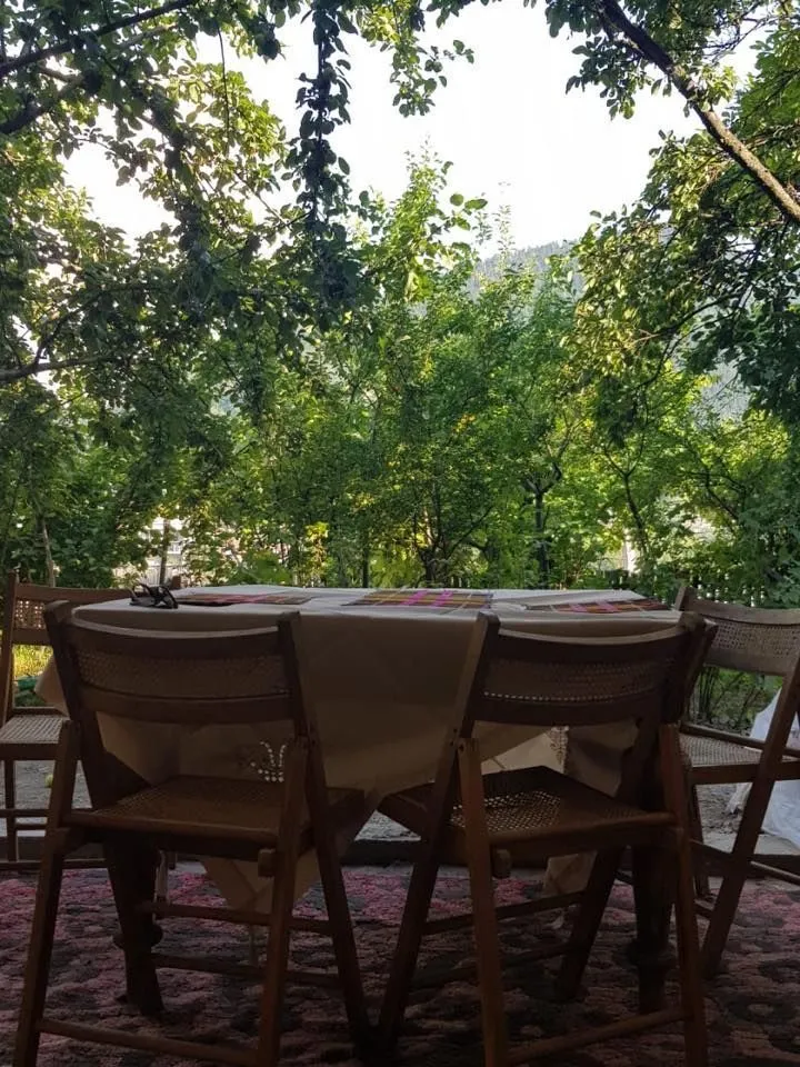 Check in Borjomi — Photo 18