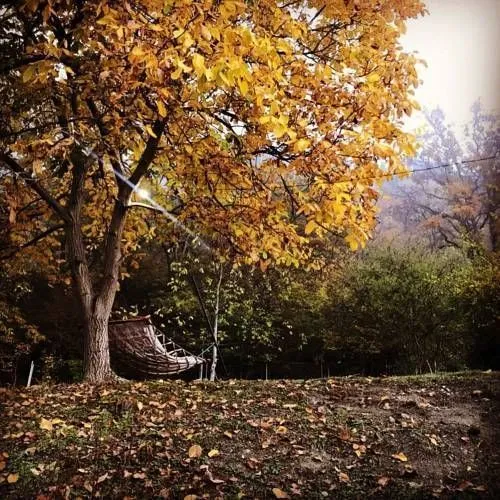 Panorama — Photo 5
