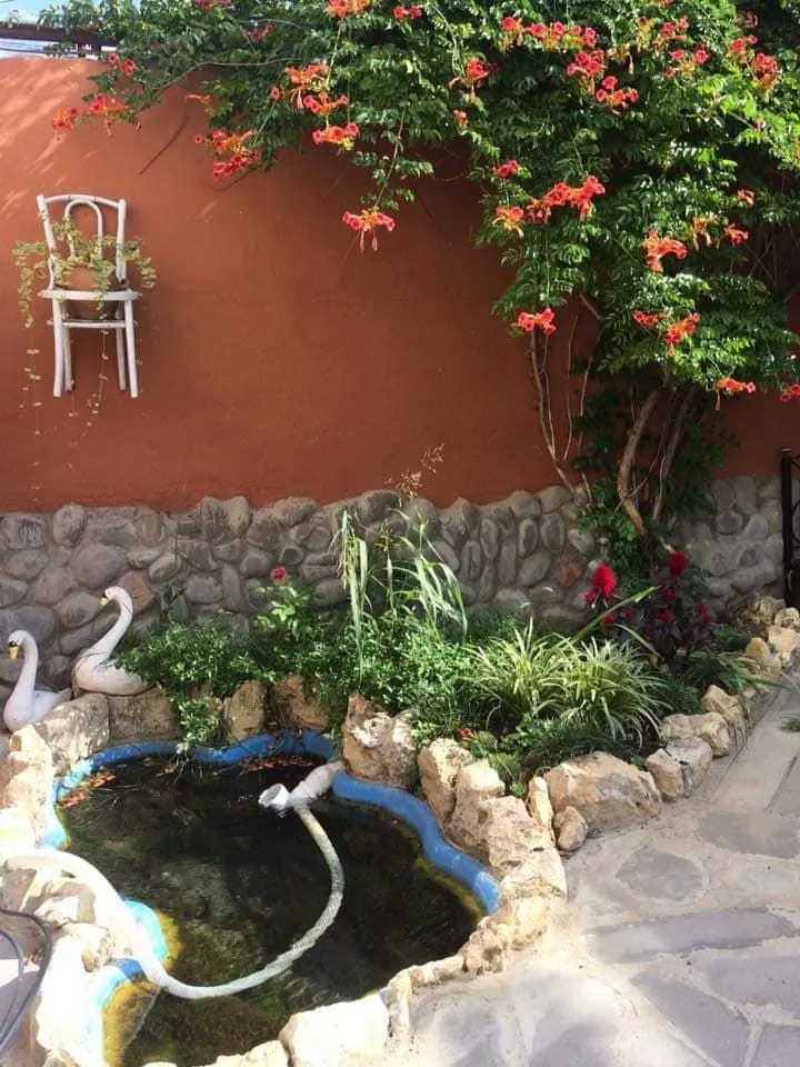 ART TE-VA HOTEL — Photo 15