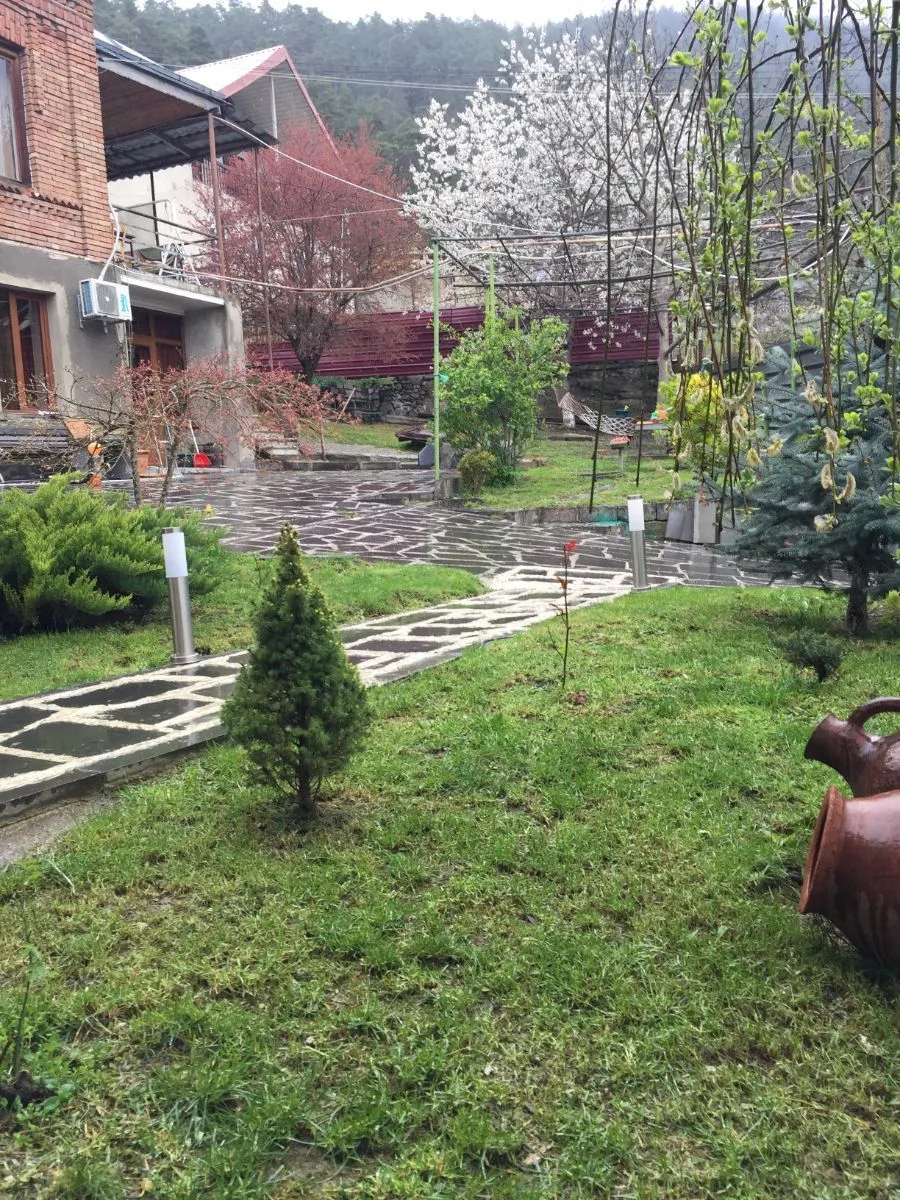 Holiday in Borjomi — Photo 108