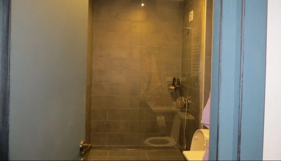 Mgzavrebi, apartment 408 — Photo 11