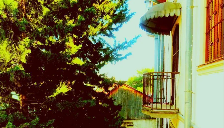Valeria — Photo 5