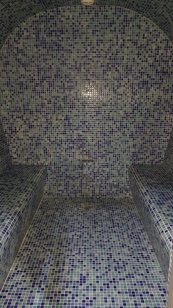 ORBI PALACE BAKURIANI APARTMENT 322 — Photo 15