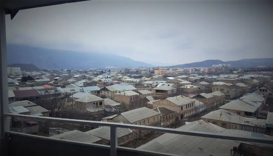 Lucky — Photo 7