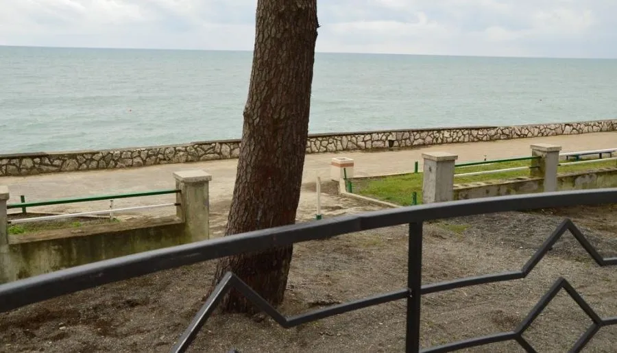 Guest House by the Sea — Photo 67