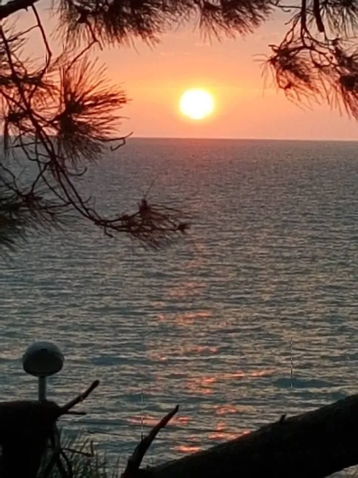 Guest House by the Sea — Photo 36