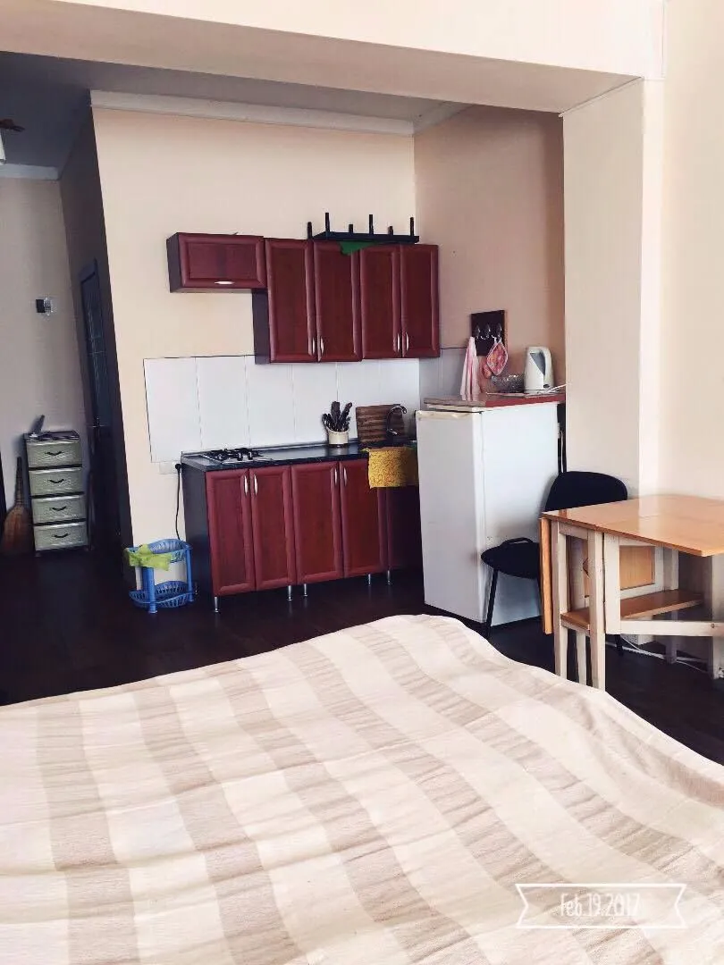 Mziuri Veli apt 8 — Photo 11