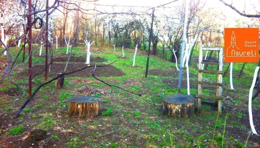 Asureti guest house — Photo 3