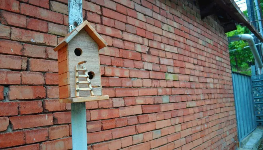 Asureti guest house — Photo 14