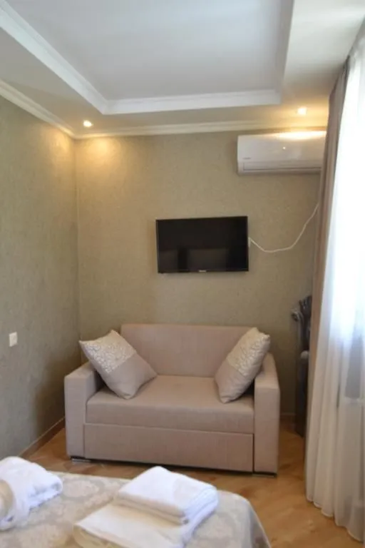 Borjomi Villa Roma — Photo 34