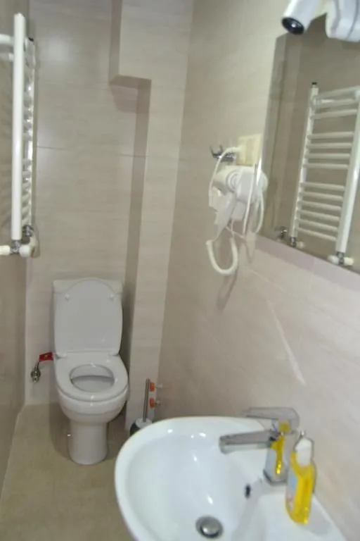 Borjomi Villa Roma — Photo 30