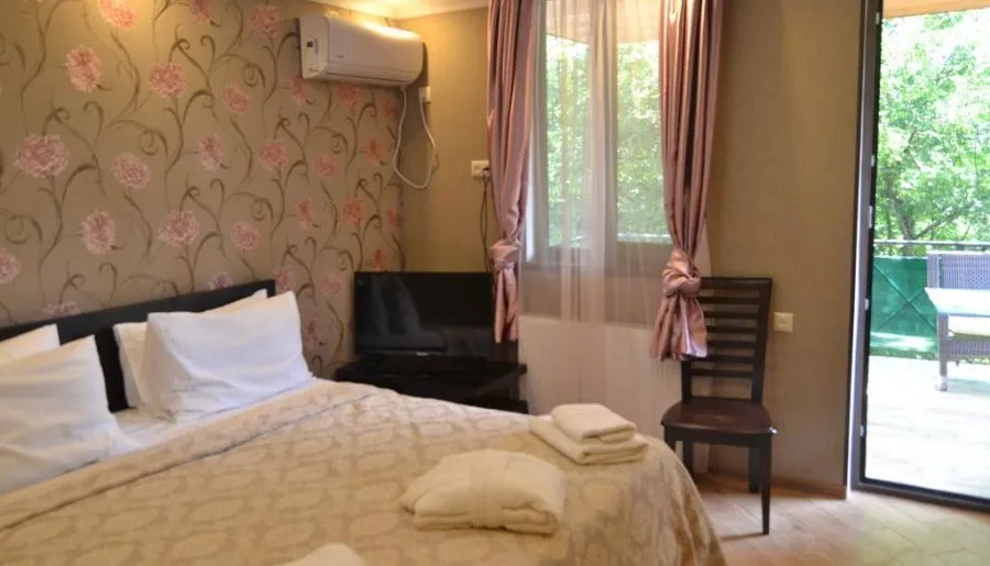 Borjomi Villa Roma — Photo 29