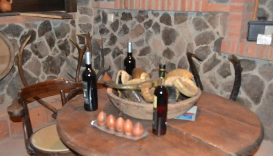 Borjomi Villa Roma — Photo 13