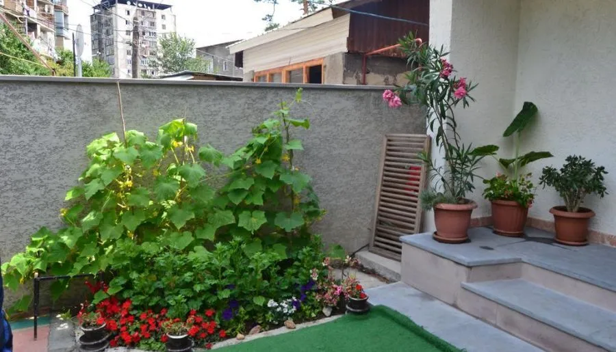 Borjomi Villa Roma — Photo 21