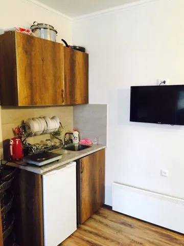 Mgzavrebi Bakuriani apt 219 — Photo 8