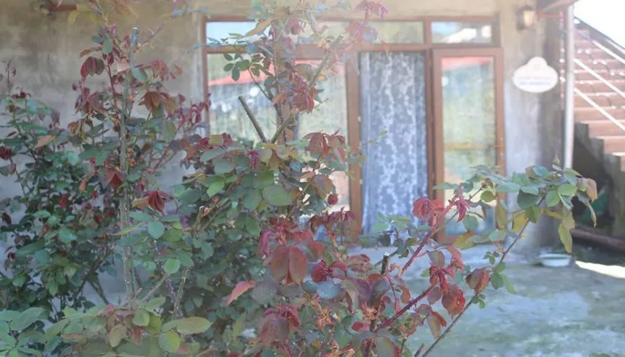ELDARI — Photo 14