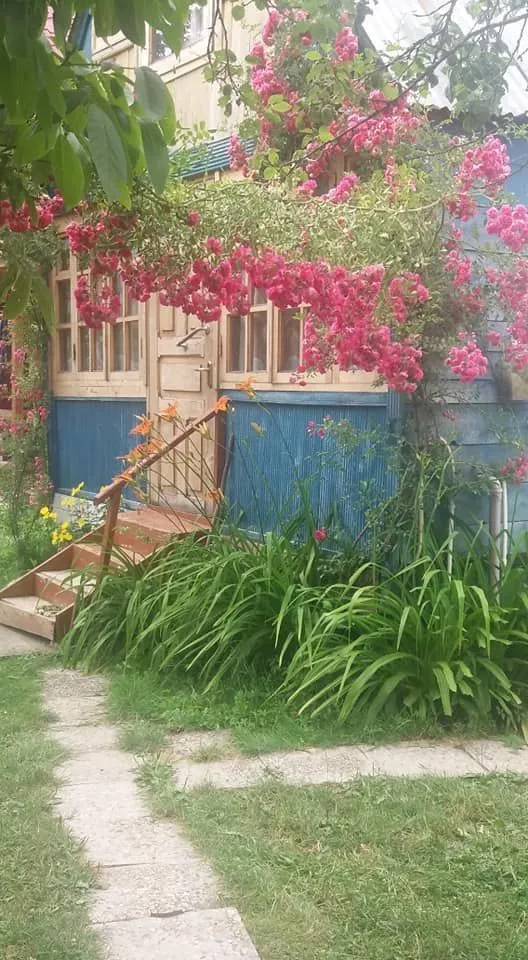 Colored cottages — Photo 24