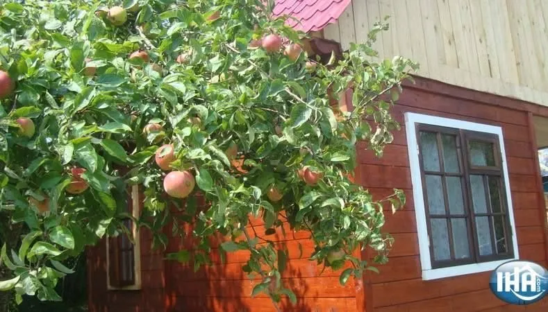 Colored cottages — Photo 6