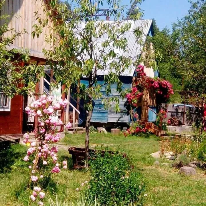 Colored cottages — Photo 11