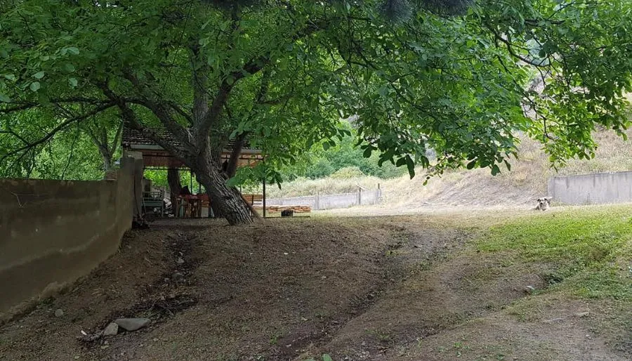 Boknet — Photo 17