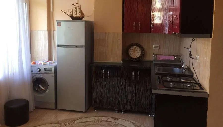 Shalva Inasaridze N23 — Photo 14