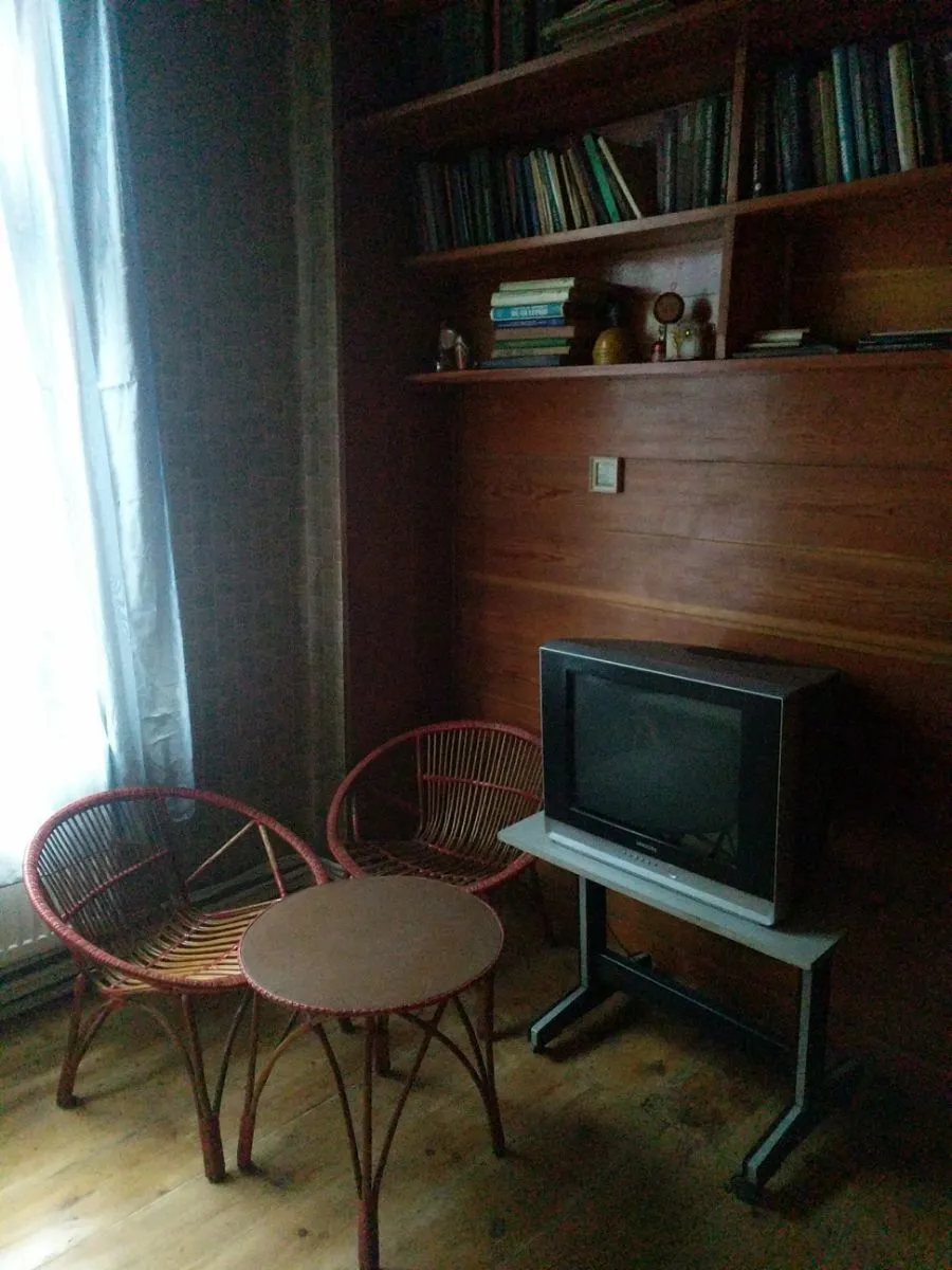 Forest Trail — Photo 19