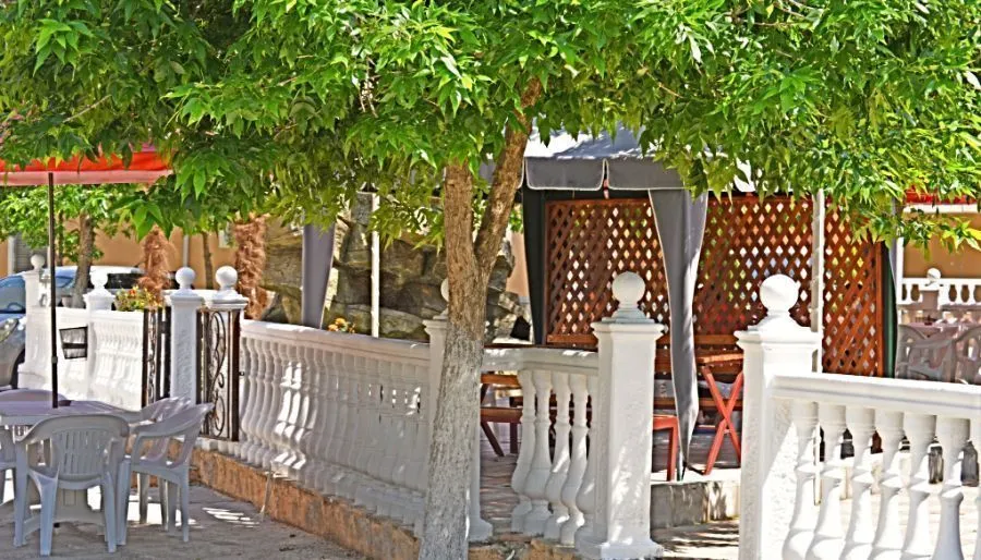 selika (sergo) — Photo 21