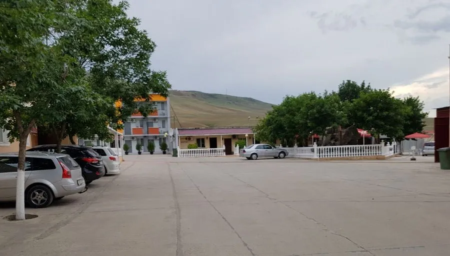 selika (sergo) — Photo 17