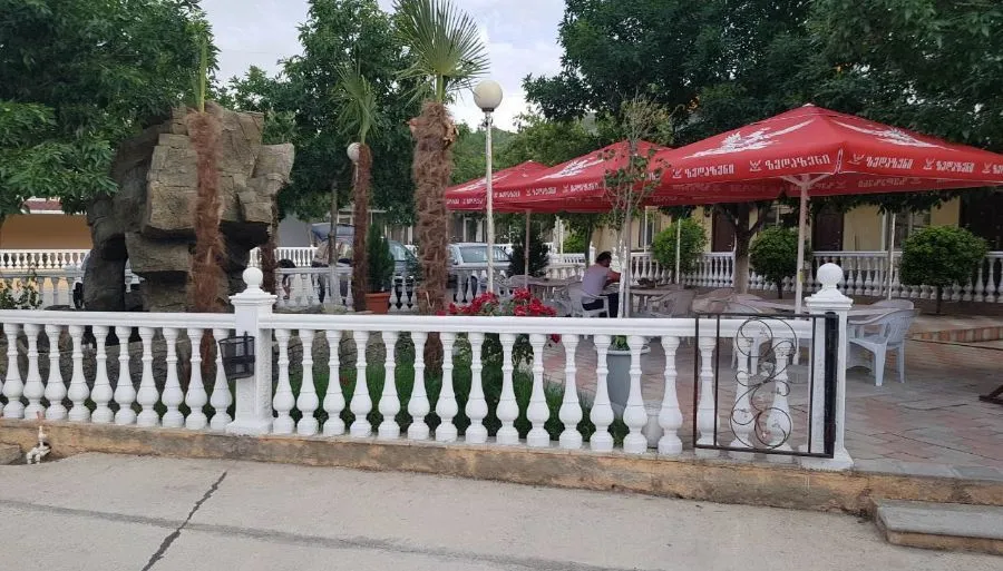 selika (sergo) — Photo 15