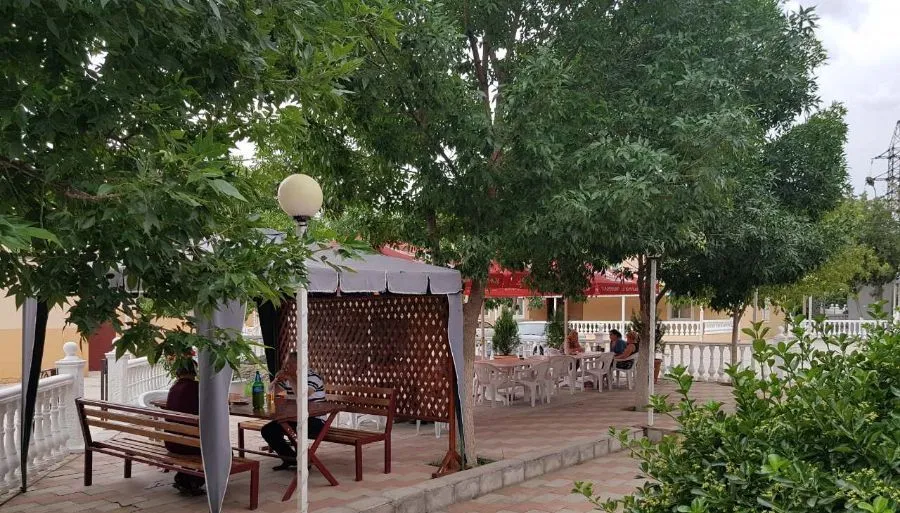 selika (sergo) — Photo 1