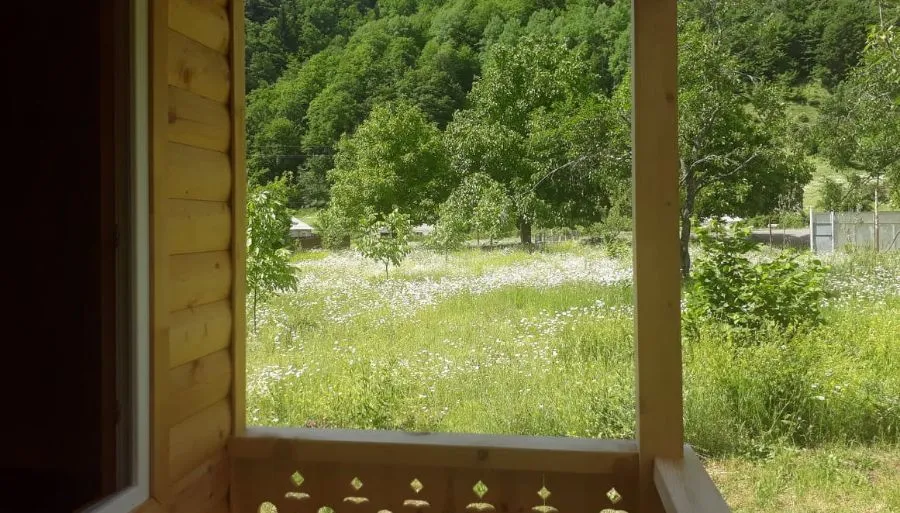 Nani — Photo 25