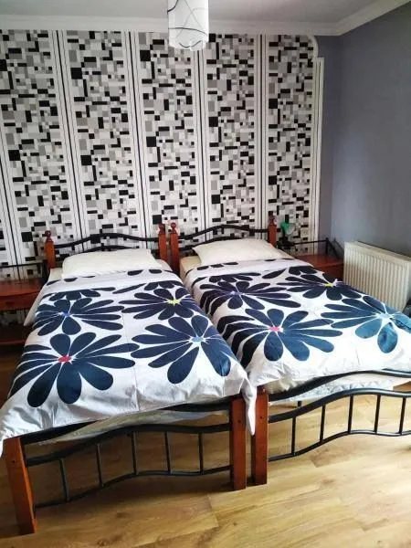 Alex's guest house — Photo 42