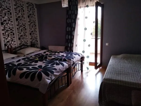 Alex's guest house — Photo 40