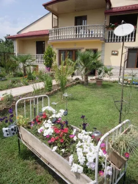 Alex's guest house — Photo 17